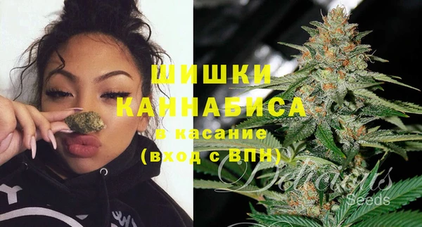 МДПВ Надым