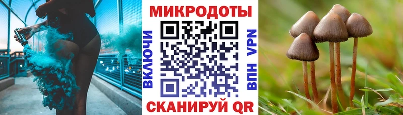 маркетплейс какой сайт  Островной  Галлюциногенные грибы мицелий  цена  